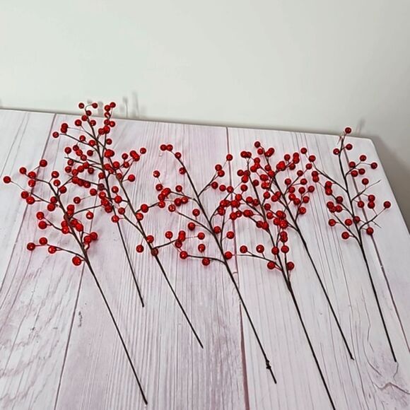 Pick Bundle - Red & White Berry Picks - Picture 1 of 6